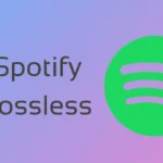 spotify lossless